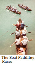 The Boat Paddling Races