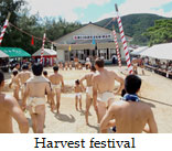 Harvest festival