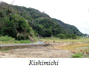 Kishimichi