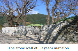 The stone wall of Hayashi mansion.