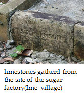 limestones gatherd from the site of the sugar factory(Ime village)