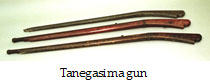 Tanegasima gun