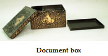 Document box