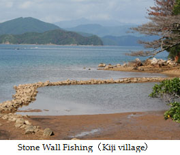 Stone Wall Fishing（Kiji village）