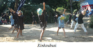 Kinkoubusi