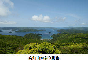 高知山からの景色